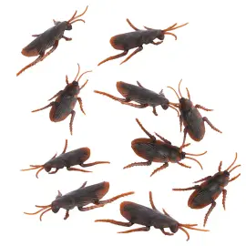 Dekoration Sj&auml;lvh&auml;ftande Kackerlackor