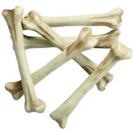 Dekoration Skelettben