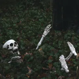 Tr&auml;dg&aring;rdsdekoration Skelett 5-pack