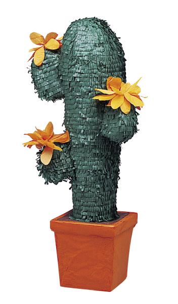 Pinata Kaktus
