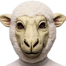 Mask F&aring;r