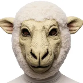 Mask F&aring;r