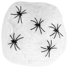Spindelväv med Spindlar