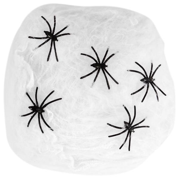 Spindelväv med Spindlar