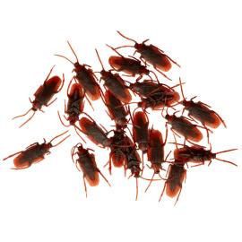 Kackerlackor Dekoration 20-pack