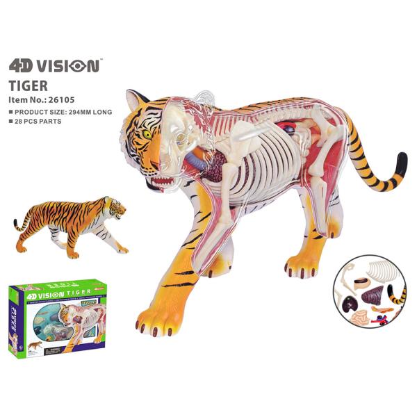 Anatomi Tiger Leksak