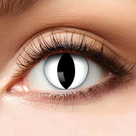 F&auml;rgade Crazy Linser Black Cat