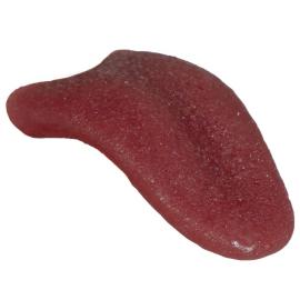 Latex Tunga