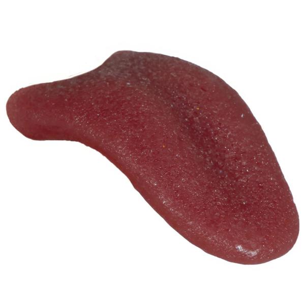 Latex Tunga