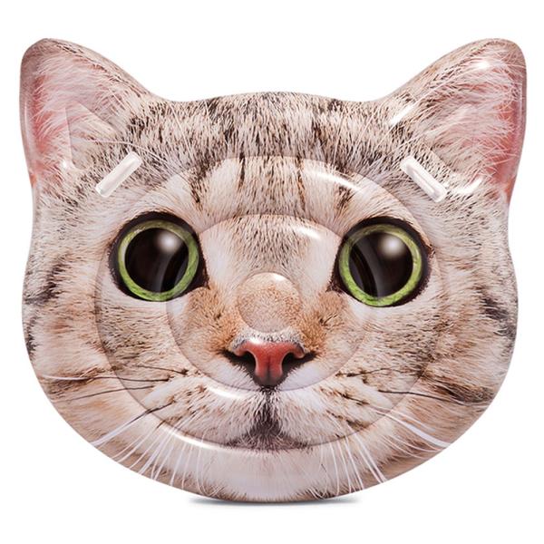 Badmadrass Katt