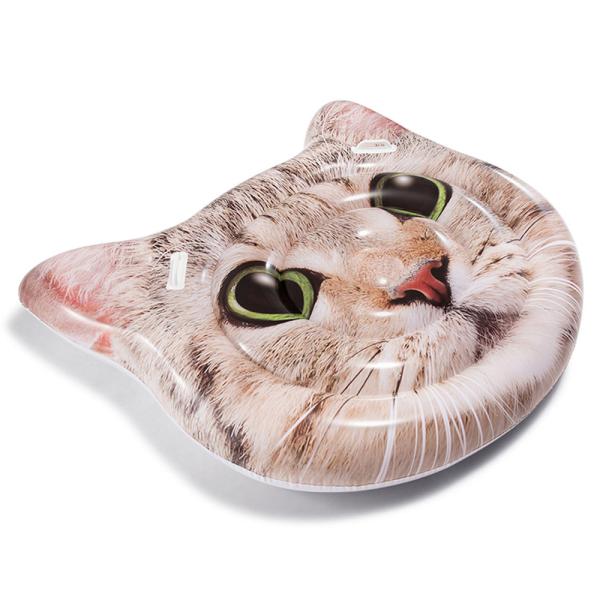 Badmadrass Katt