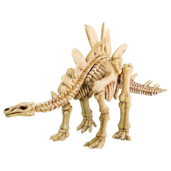 Stegosaurus Skelett Utgrävningskit