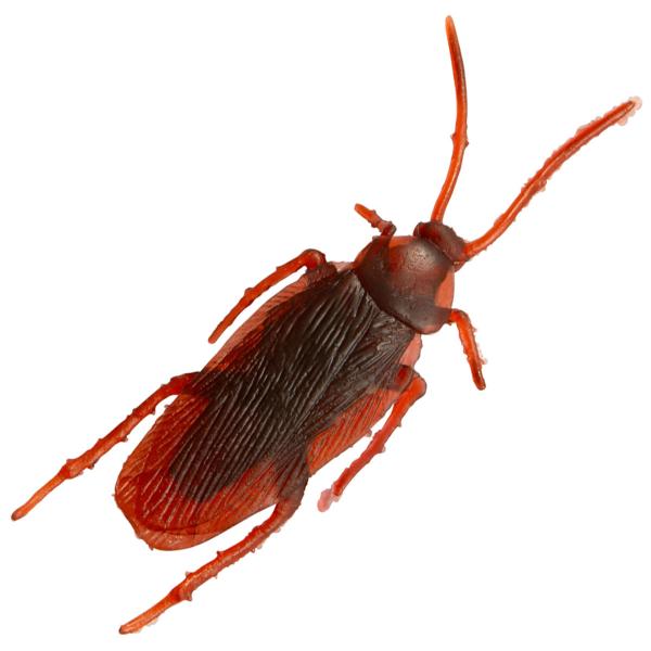 Kackerlackor Dekoration 20-pack