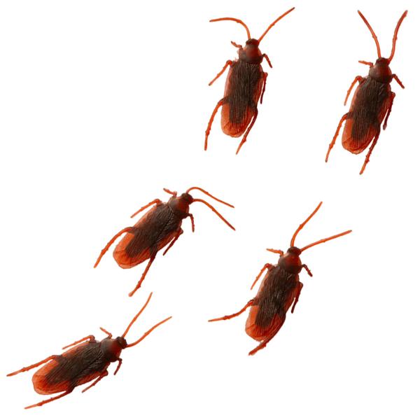Kackerlackor Dekoration 20-pack