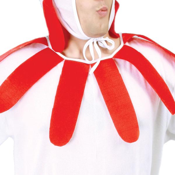 Höna Maskeraddräkt