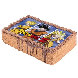 Dragon Ball T&aring;rtbild Rektangul&auml;r