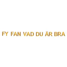 Girlang Fy Fan Vad Du &Auml;r Bra Guld 5 m