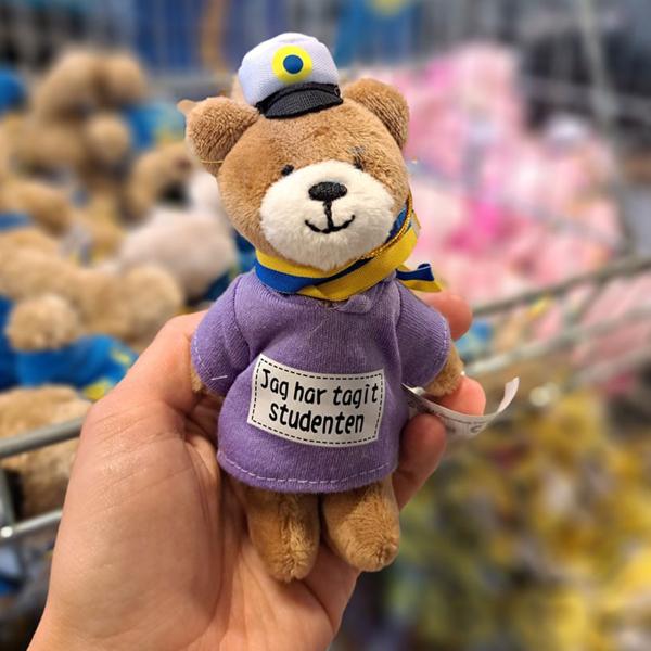 Studentnalle Björn med Luvtröja 16 cm