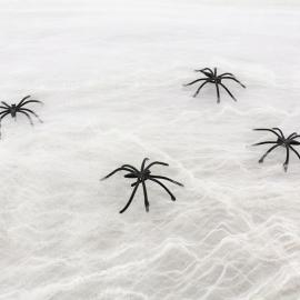 Spindeln&auml;t Vit