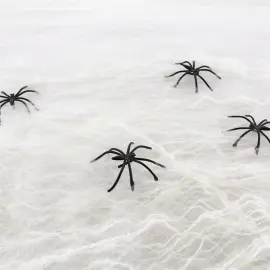 Spindeln&auml;t Vit