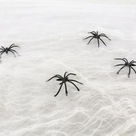 Spindeln&auml;t Vit