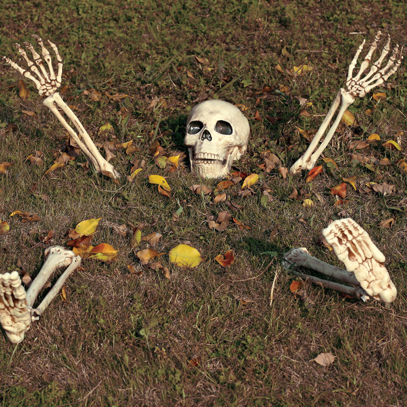 Halloween Dekoration Skelett