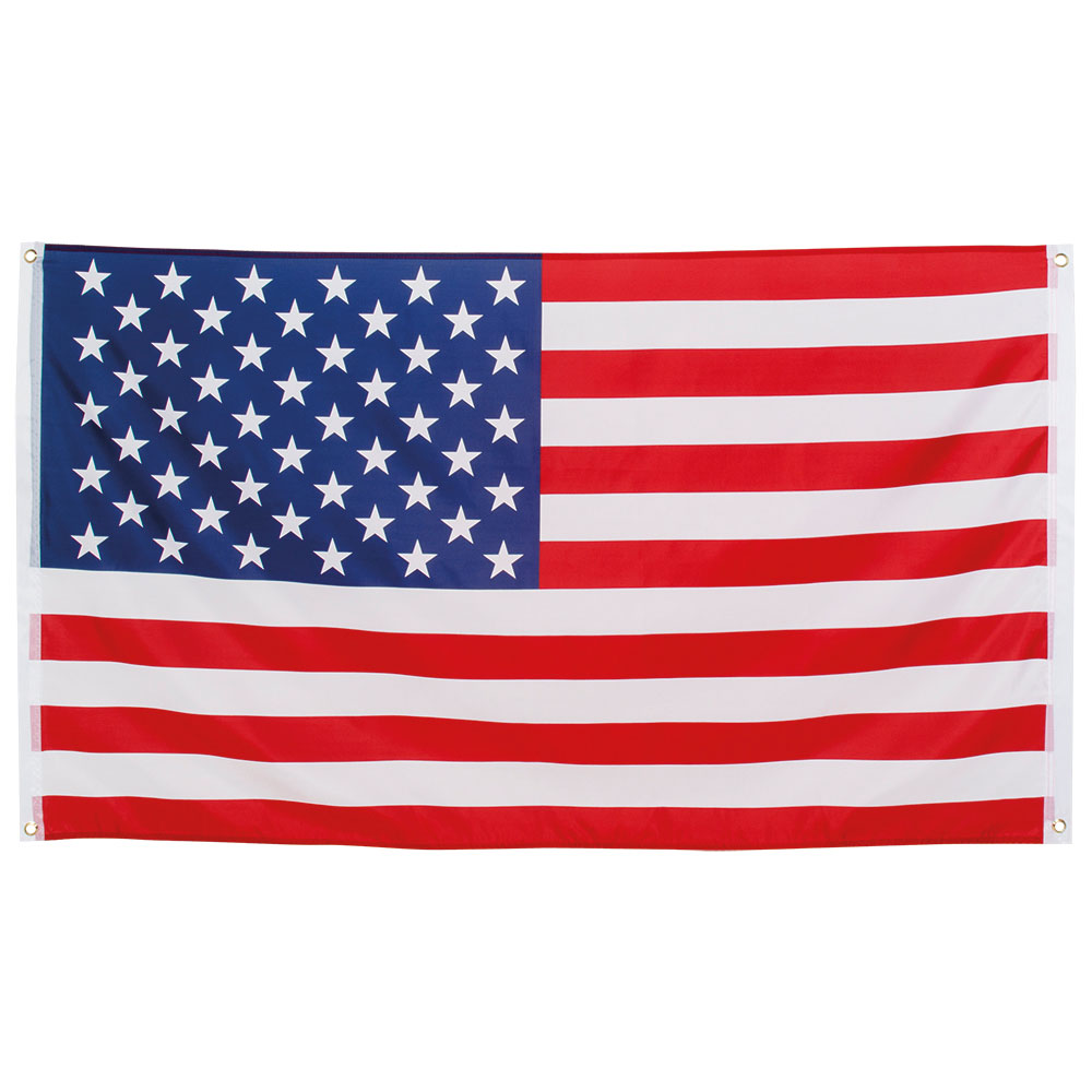 Läs mer om American Party Flagga