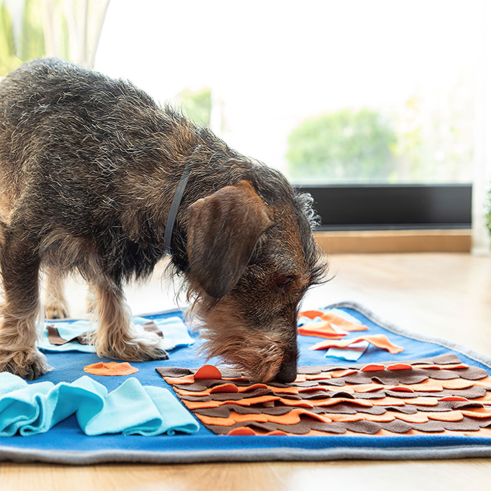 Läs mer om Snuffelmatta för Hund