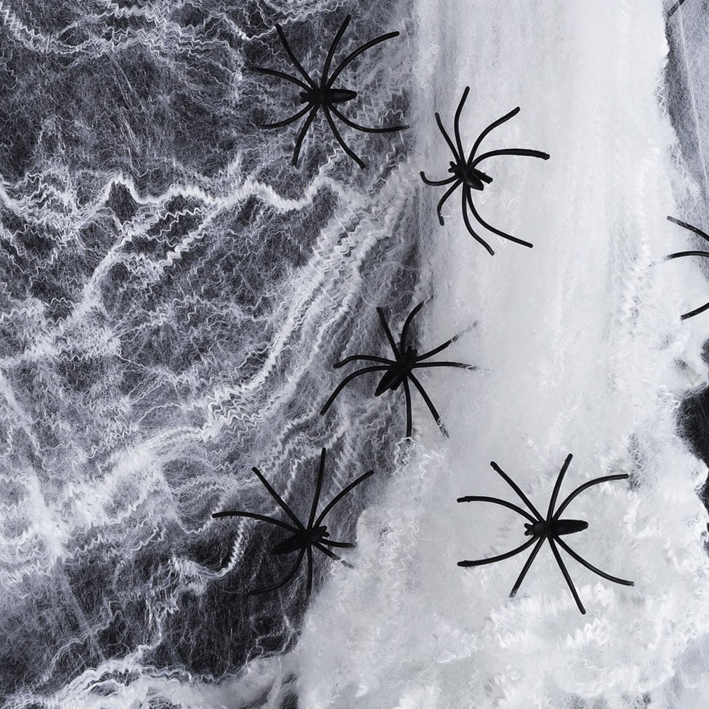Läs mer om Spindelväv med Svarta Spindlar