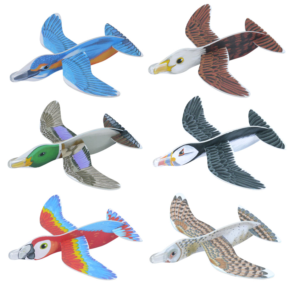 Läs mer om Bird Gliders Glidflygplan