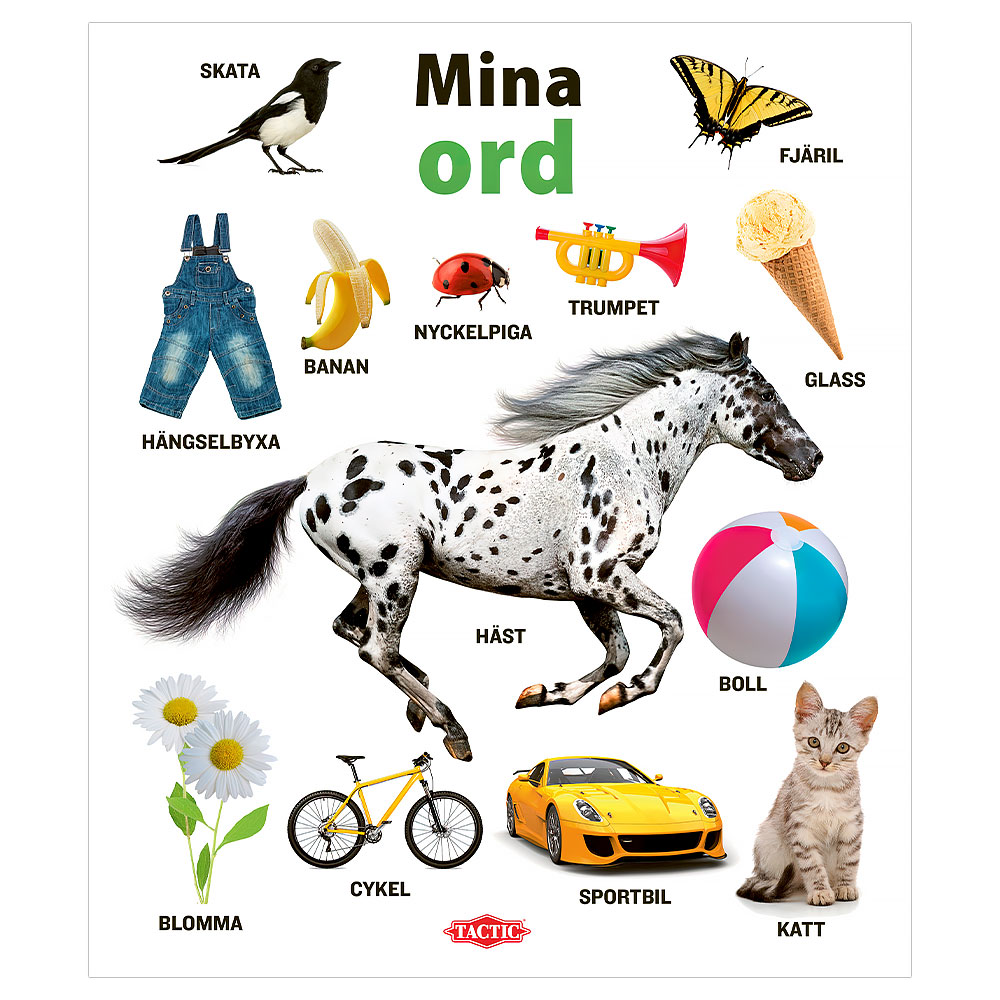 Mina Ord Pekbok