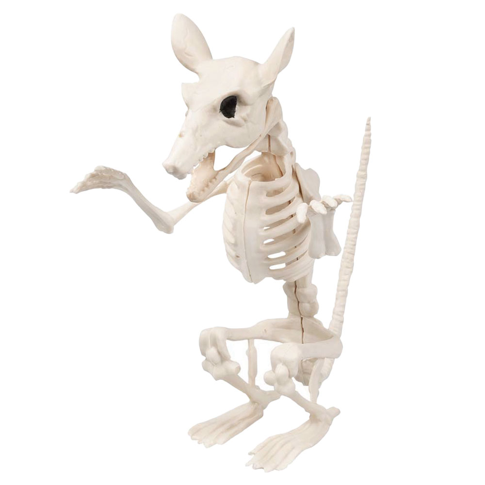 Läs mer om Skelett Dekoration Råtta