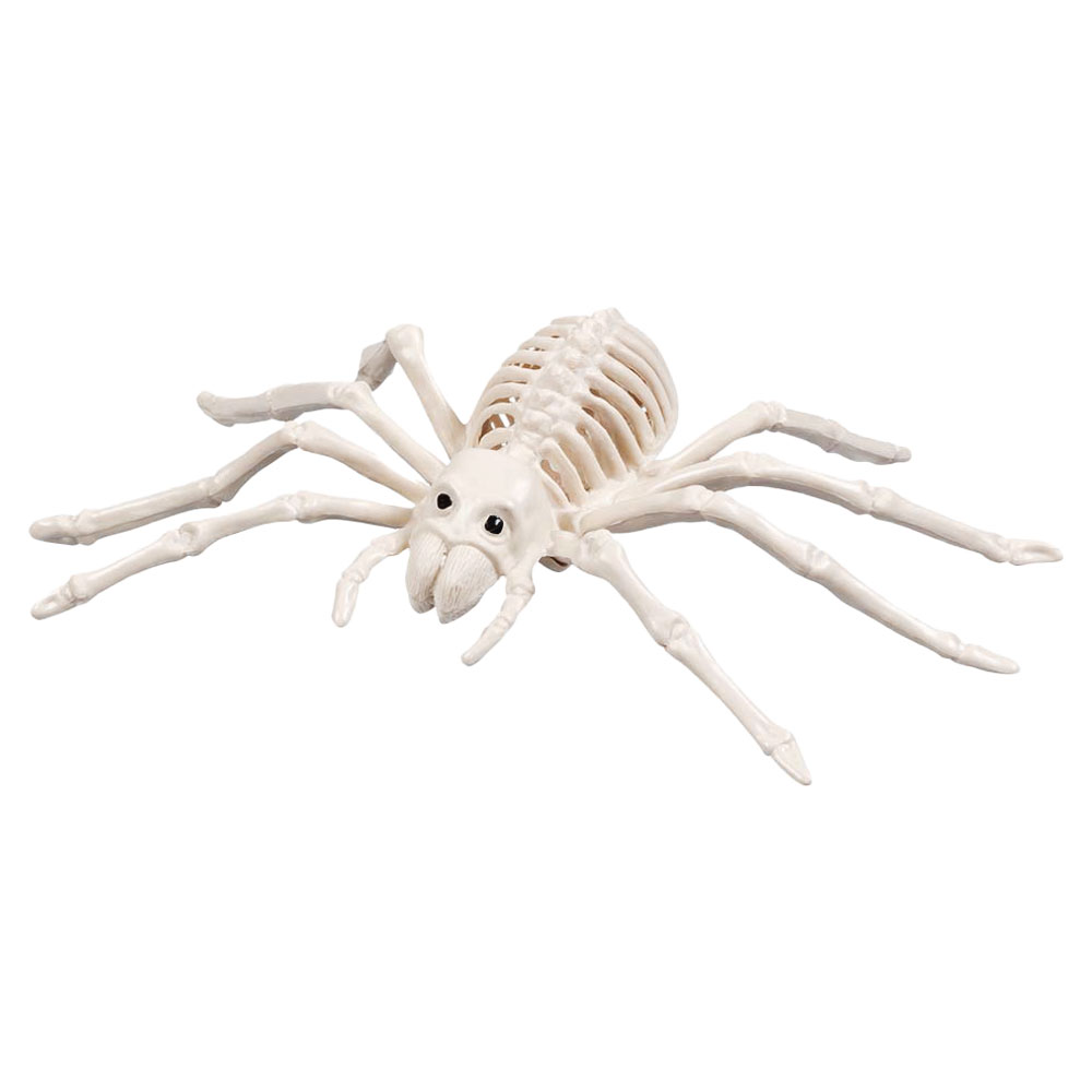 Läs mer om Skelett Dekoration Spindel