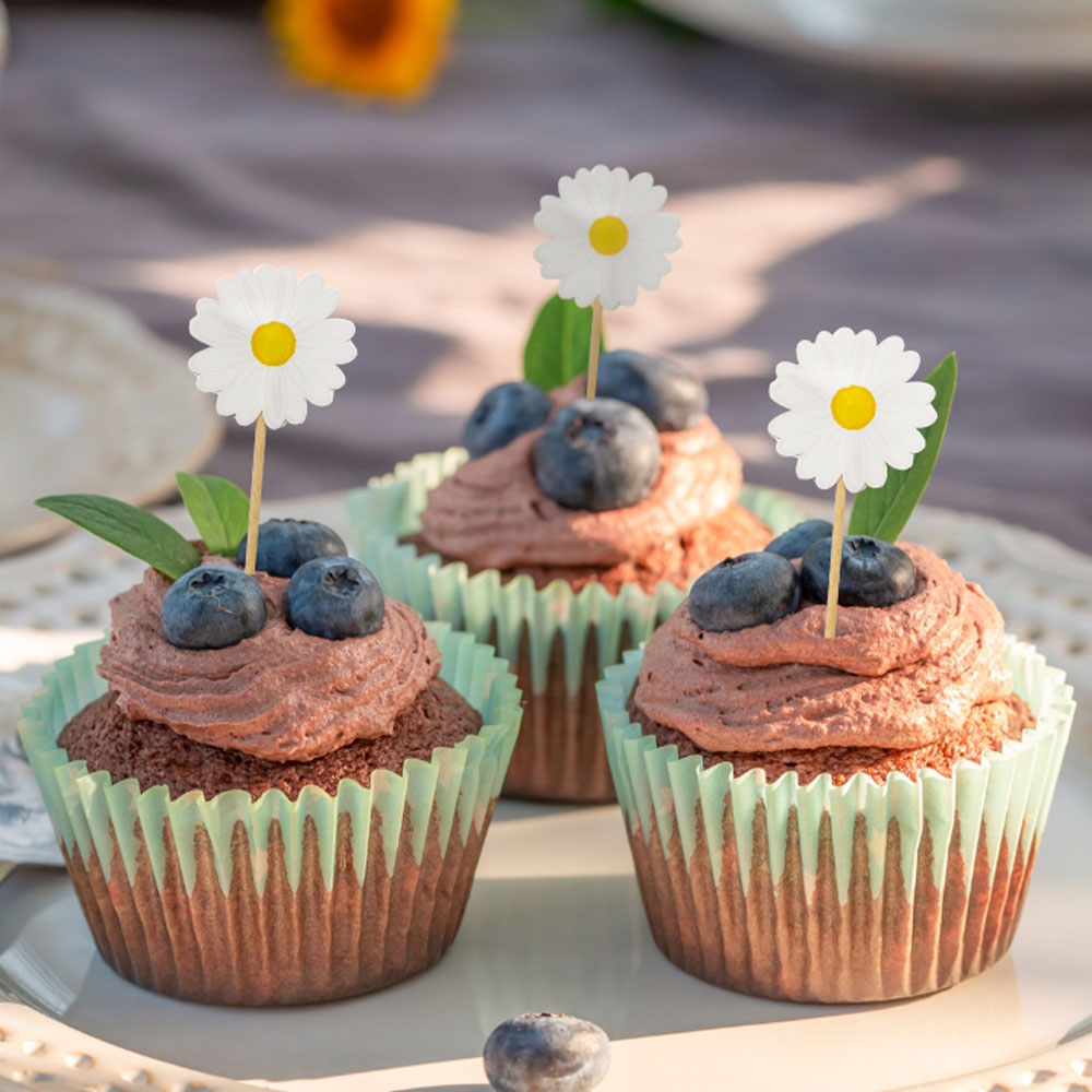 Läs mer om Party Pinnar Trä Daisys 10-pack