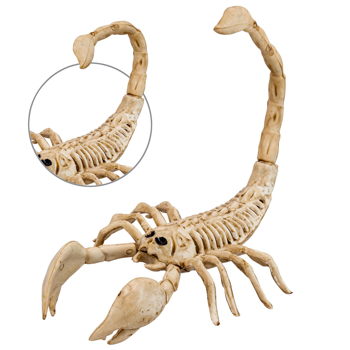 Skorpion Skelett Prop | Högtider - Halloween - Halloween dekoration | Party Outlet
