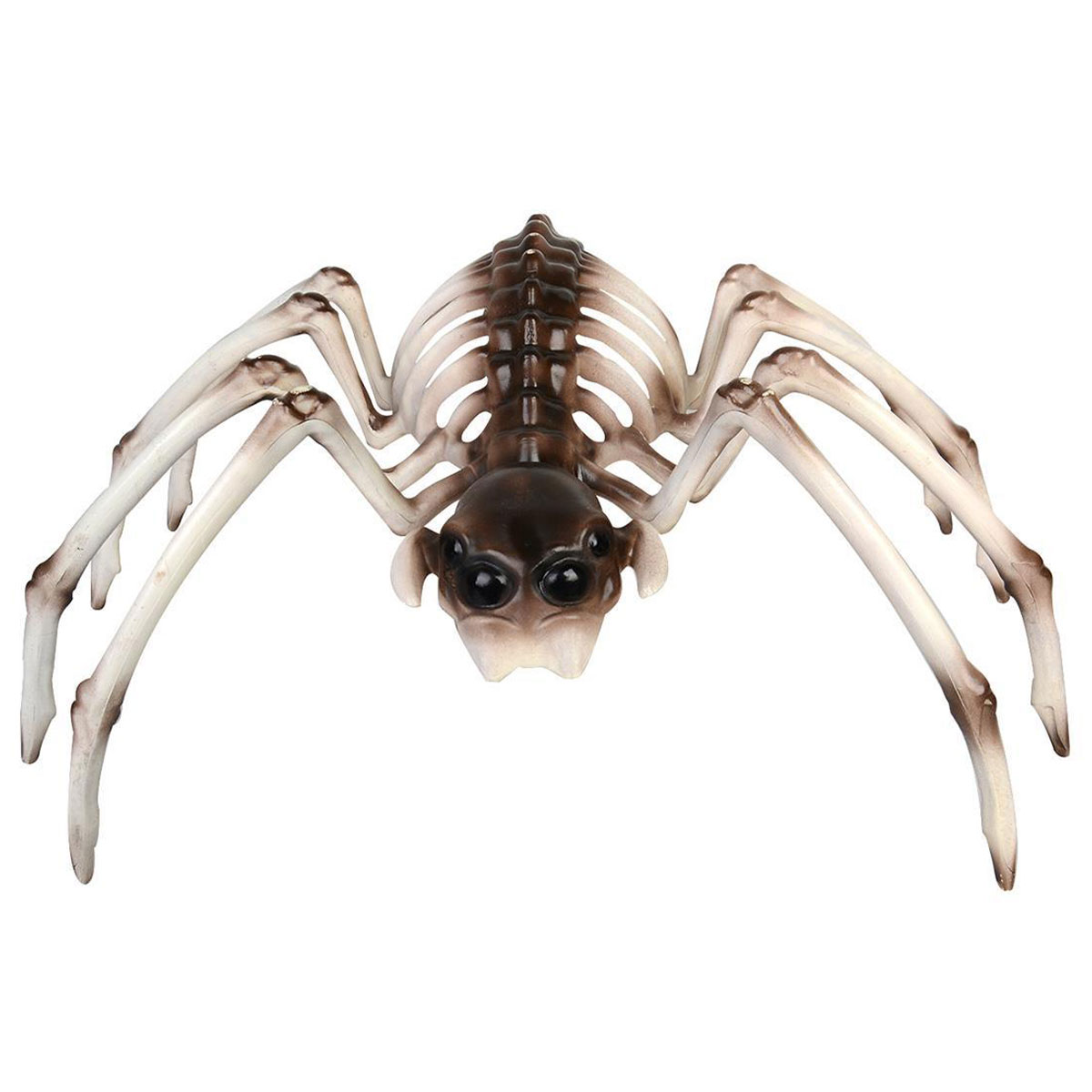 Spindelskelett Dekoration | Högtider - Halloween - Halloween dekoration | Party Outlet