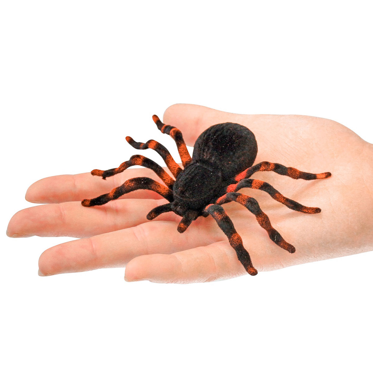 Tarantlar 4-pack | Högtider - Halloween - Halloween dekoration | Party Outlet